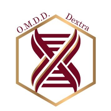 WhatsApp Image 2025-06-17 at 12.11.05